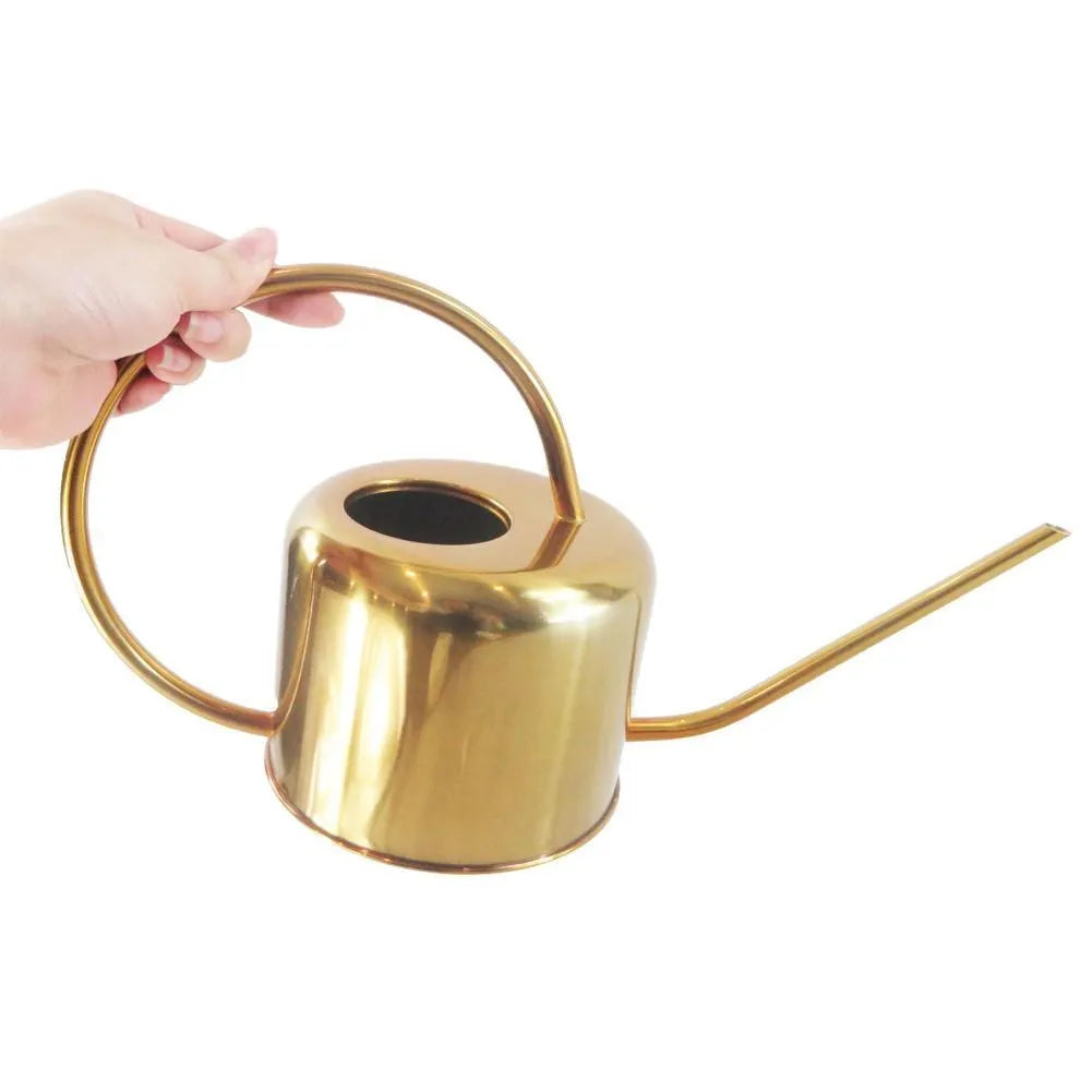 Stainless steel watering can with long spout, 2 litre capacity, black gold or silver finish