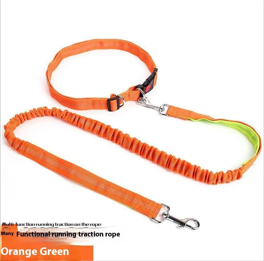 Reflective elastic dog leash in two-tone colours with 2.5cm width nylon sling