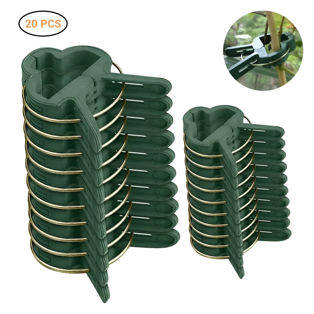 Green plastic and zinc plant support clips, showing large and small sizes for vines and tomatoes.