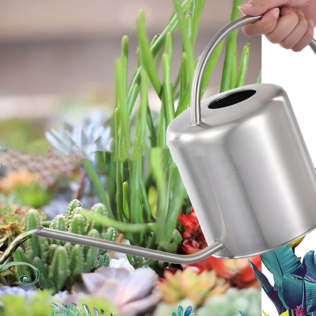 Stainless steel watering can with long spout, 2 litre capacity, black gold or silver finish