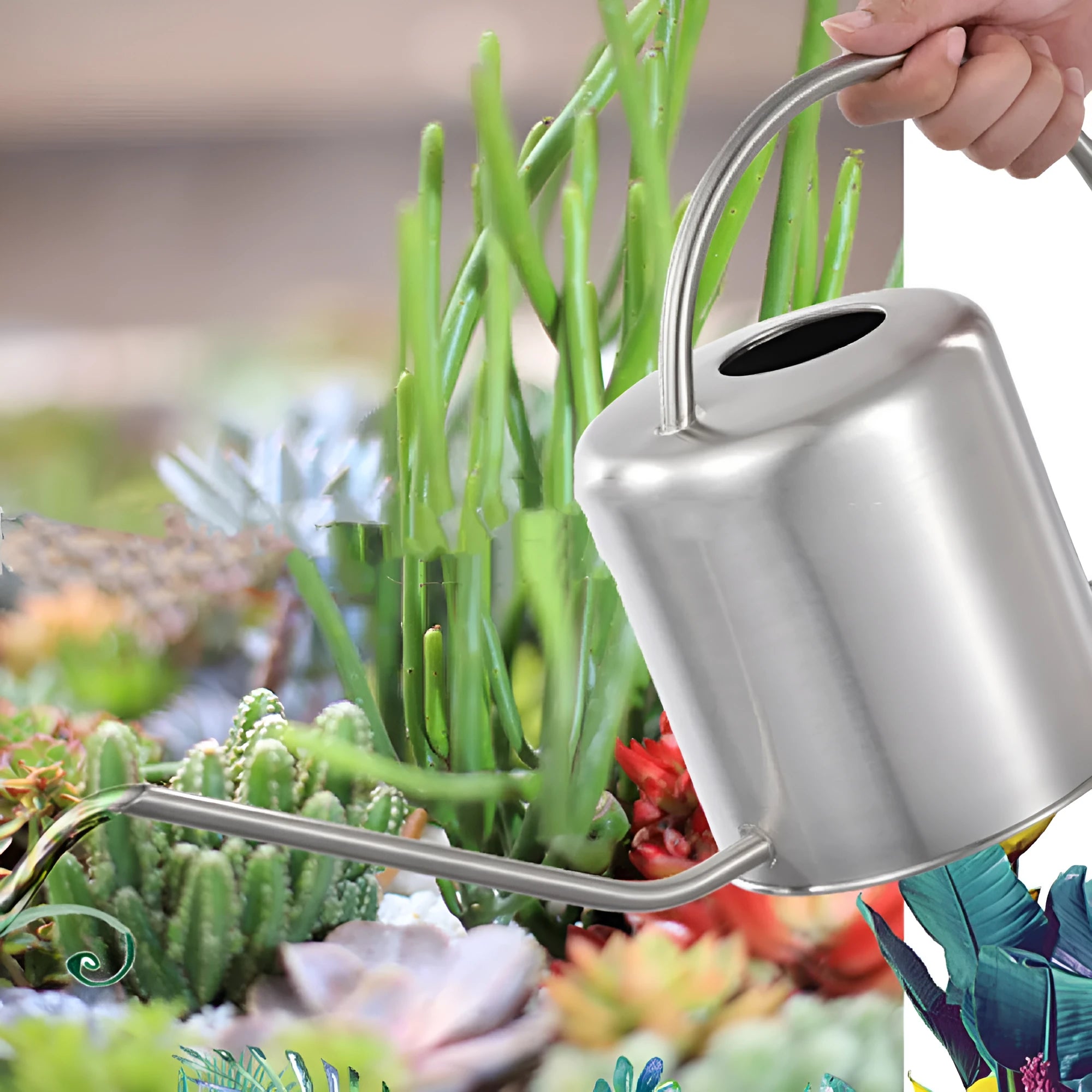 Stainless steel watering can with long spout, 2 litre capacity, black gold or silver finish