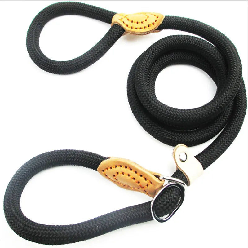 Brown nylon dog leash with hand holding rope, length 2.1 metres
