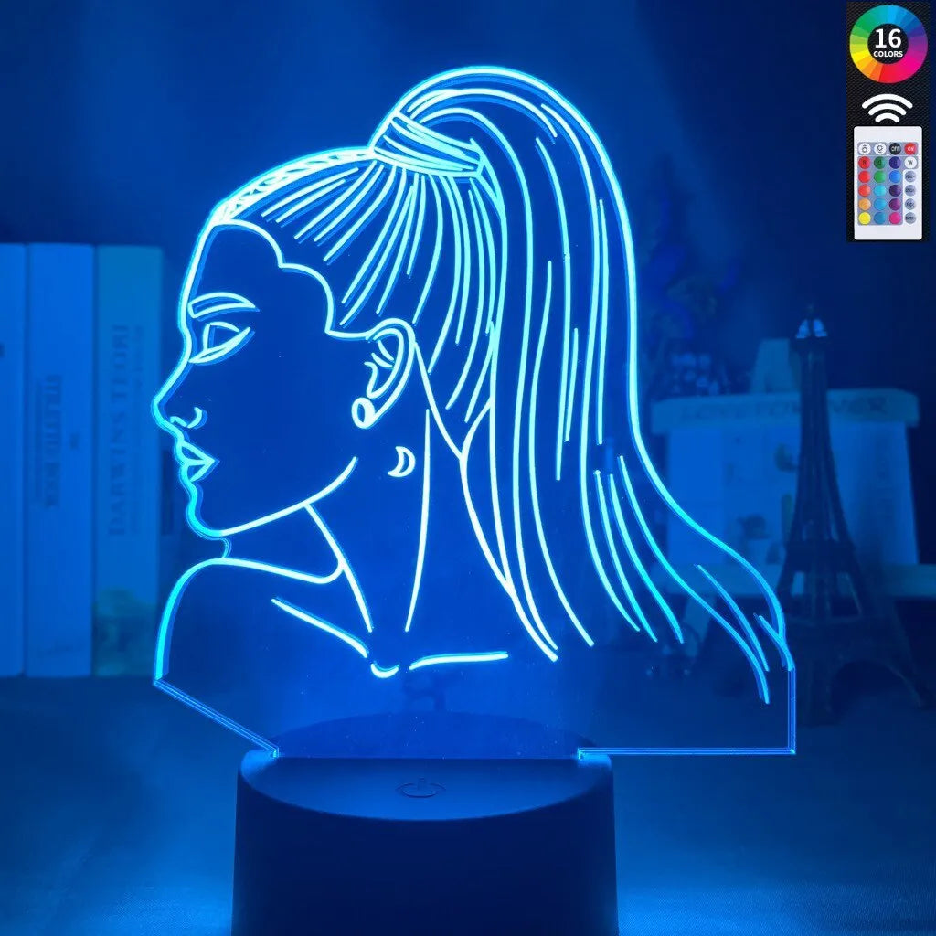 3D acrylic night light in European style with LED illumination and colour options