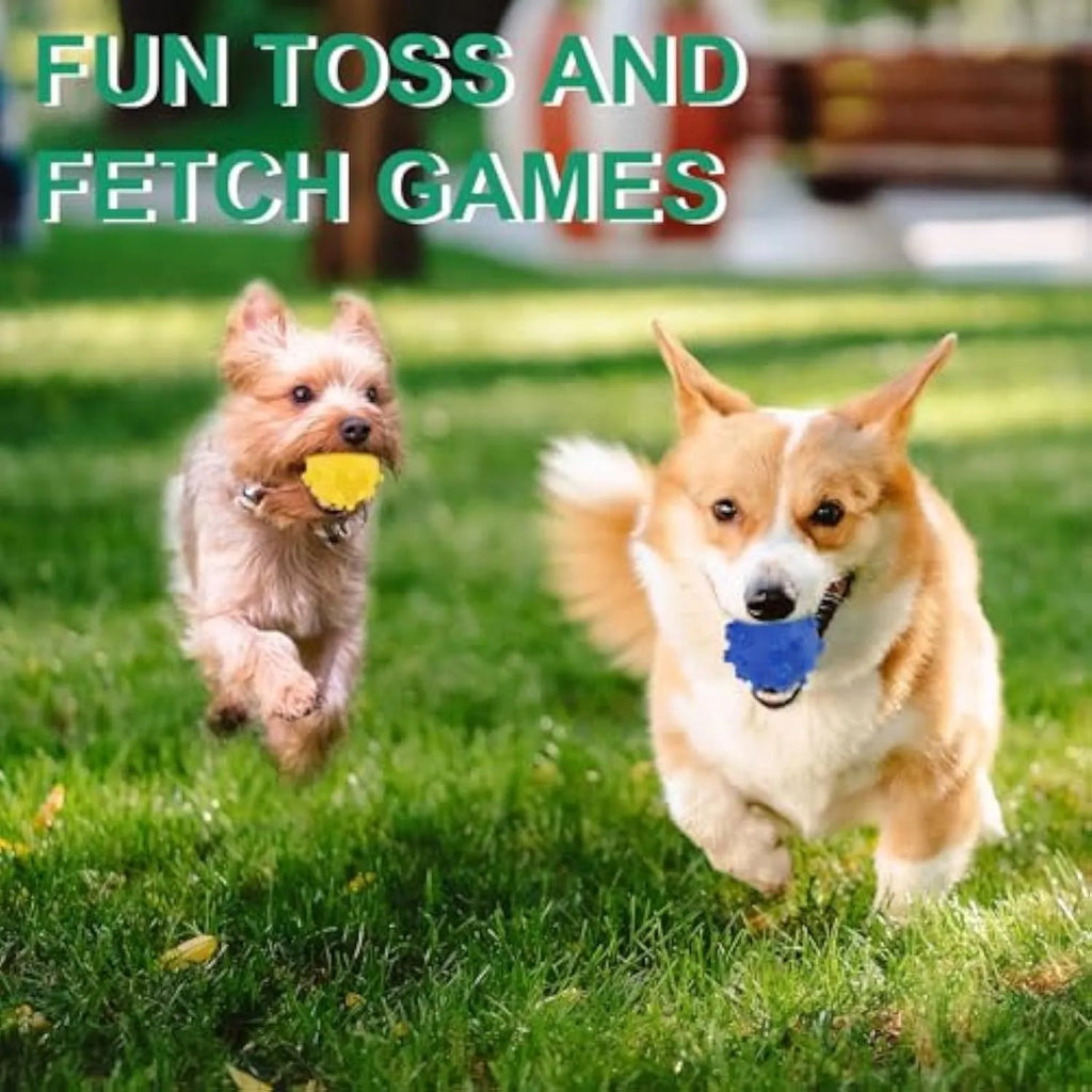 Bright coloured spiked squeaky balls for small dogs on grass