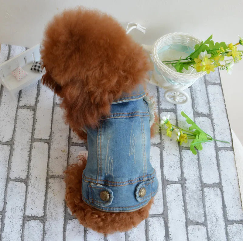 Denim dog vest with retro scratch pattern in dark wash for small breed wear