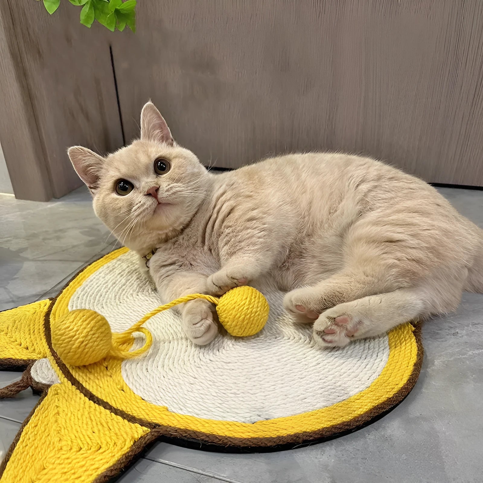 Yellow Corgi-shaped sisal cat scratching pad with anti-slip base and adhesive hooks.
