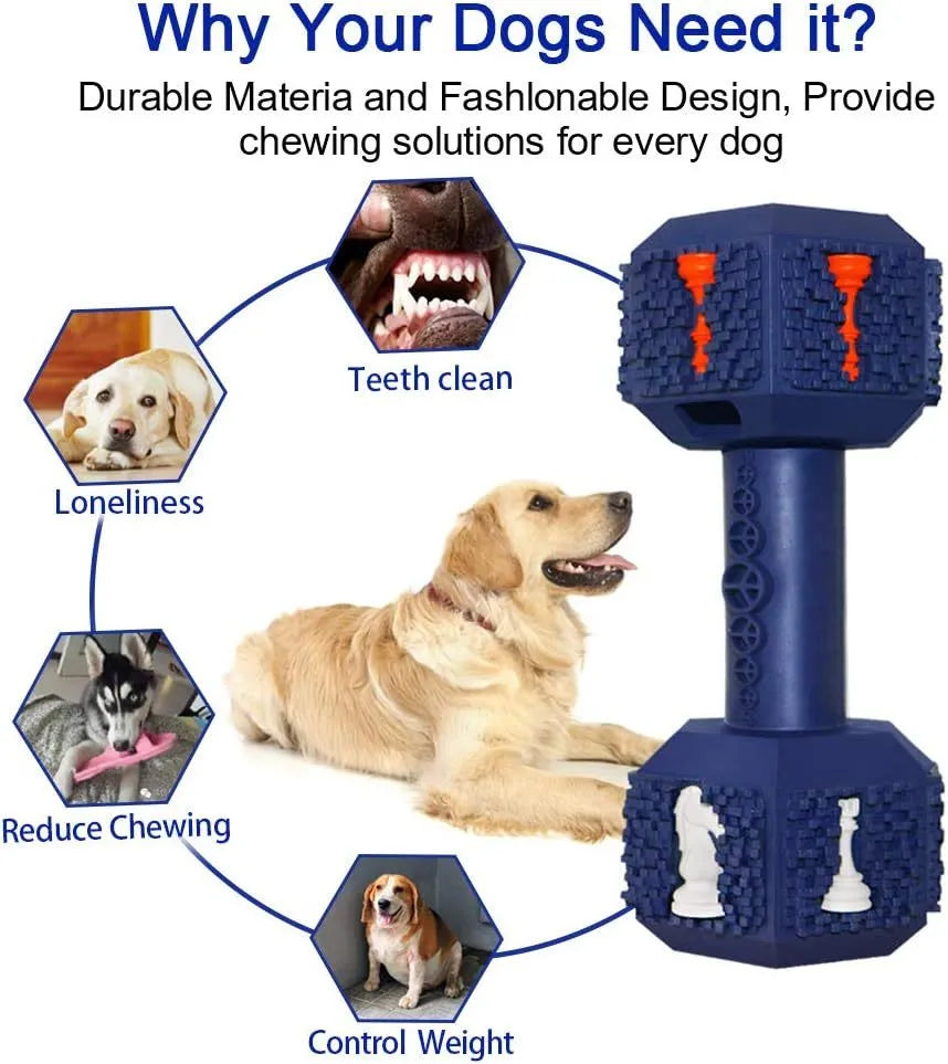 Durable hollow dumbbell dog chew toy in blue with textured surface for dental care, shown next to a treat.