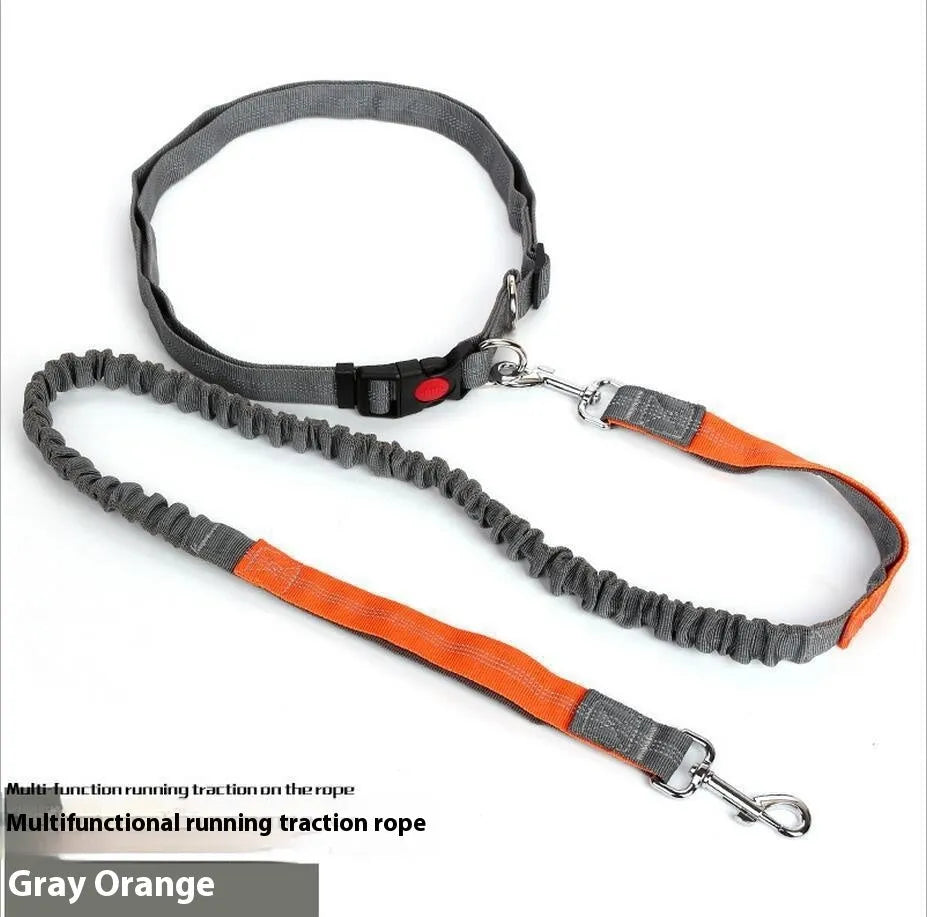 Reflective elastic dog leash in two-tone colours with 2.5cm width nylon sling