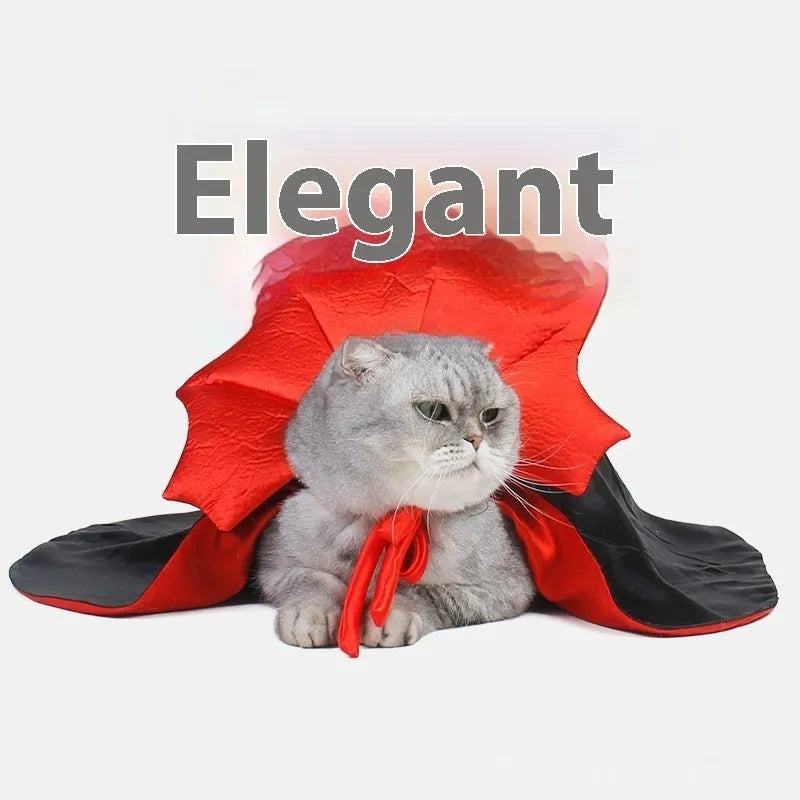 Black and red Halloween costume for a cat or dog on a hanger