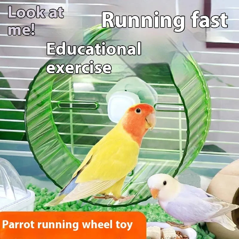Plastic bird running wheel toy in green, orange, grey, purple or transparent colour, showing 21cm and 17cm diameter options