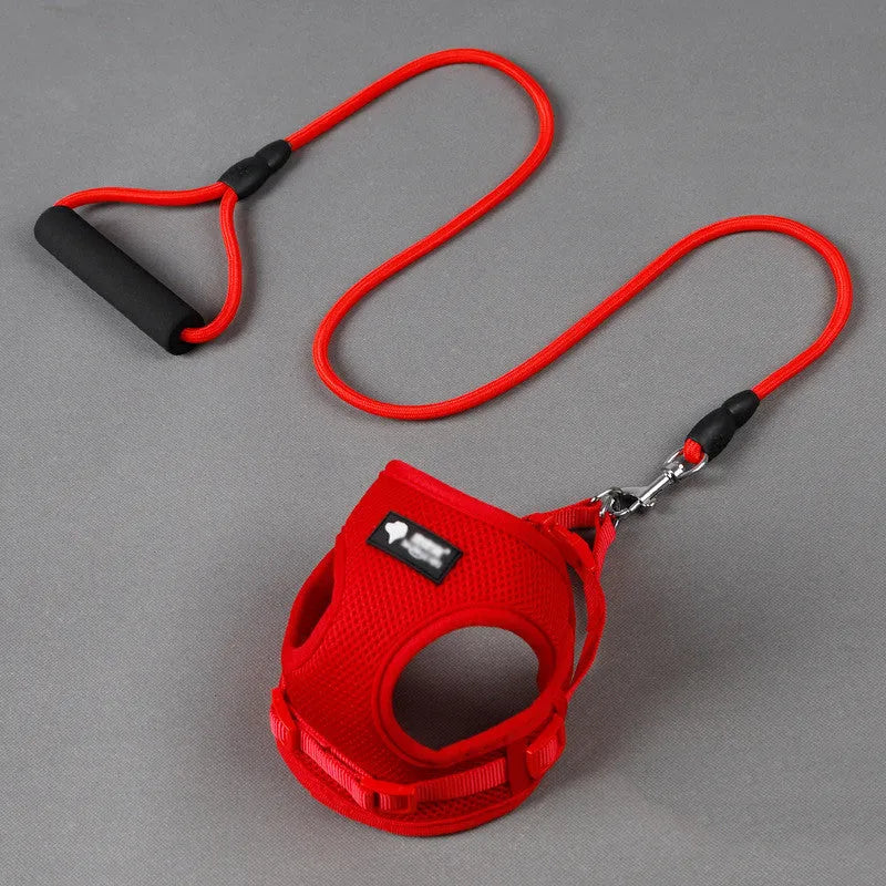 Blue dog leash with foam handle and matching collar for small to medium sized dogs