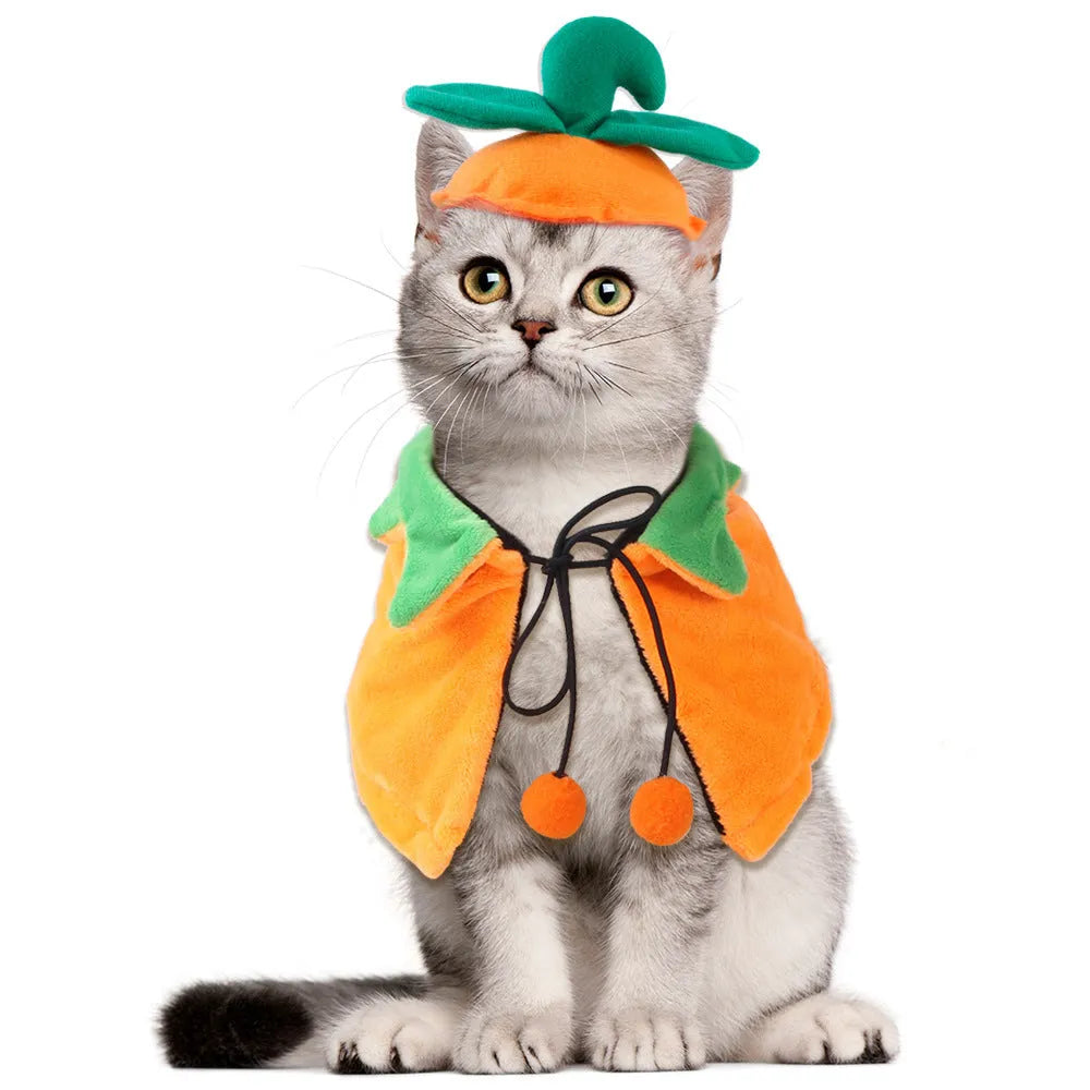 Orange reversible plush Halloween pumpkin cloak for dogs and cats with hood