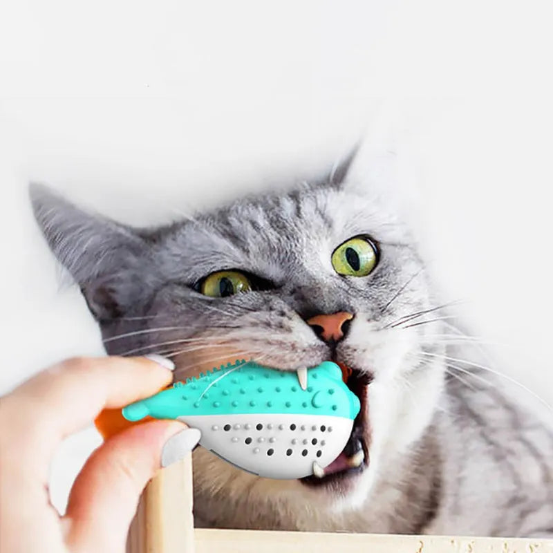 Blue silicone fish-shaped cat chew toy with a protruding grabbing handle on a white background.