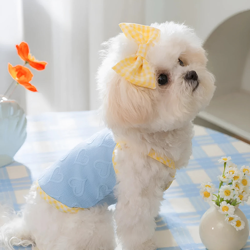 Small dog wearing an elastic heart relief texture bow suspenders vest in Bondi Blue