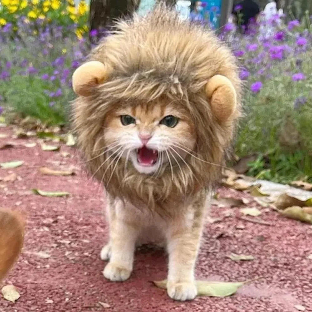 Lion mane wig accessory for cat with artificial hair and plush ears