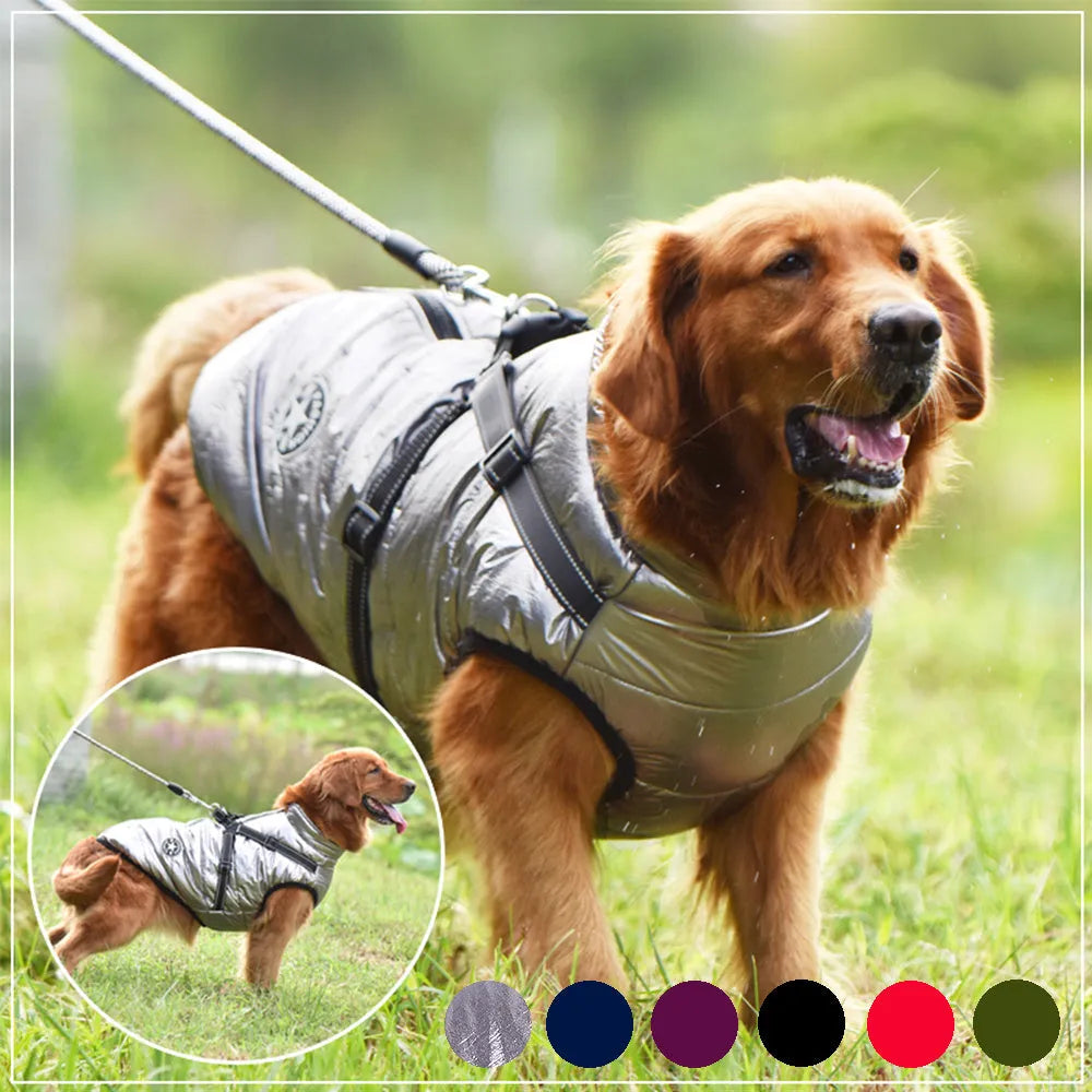 Red waterproof dog coat with built-in harness on a large breed dog.