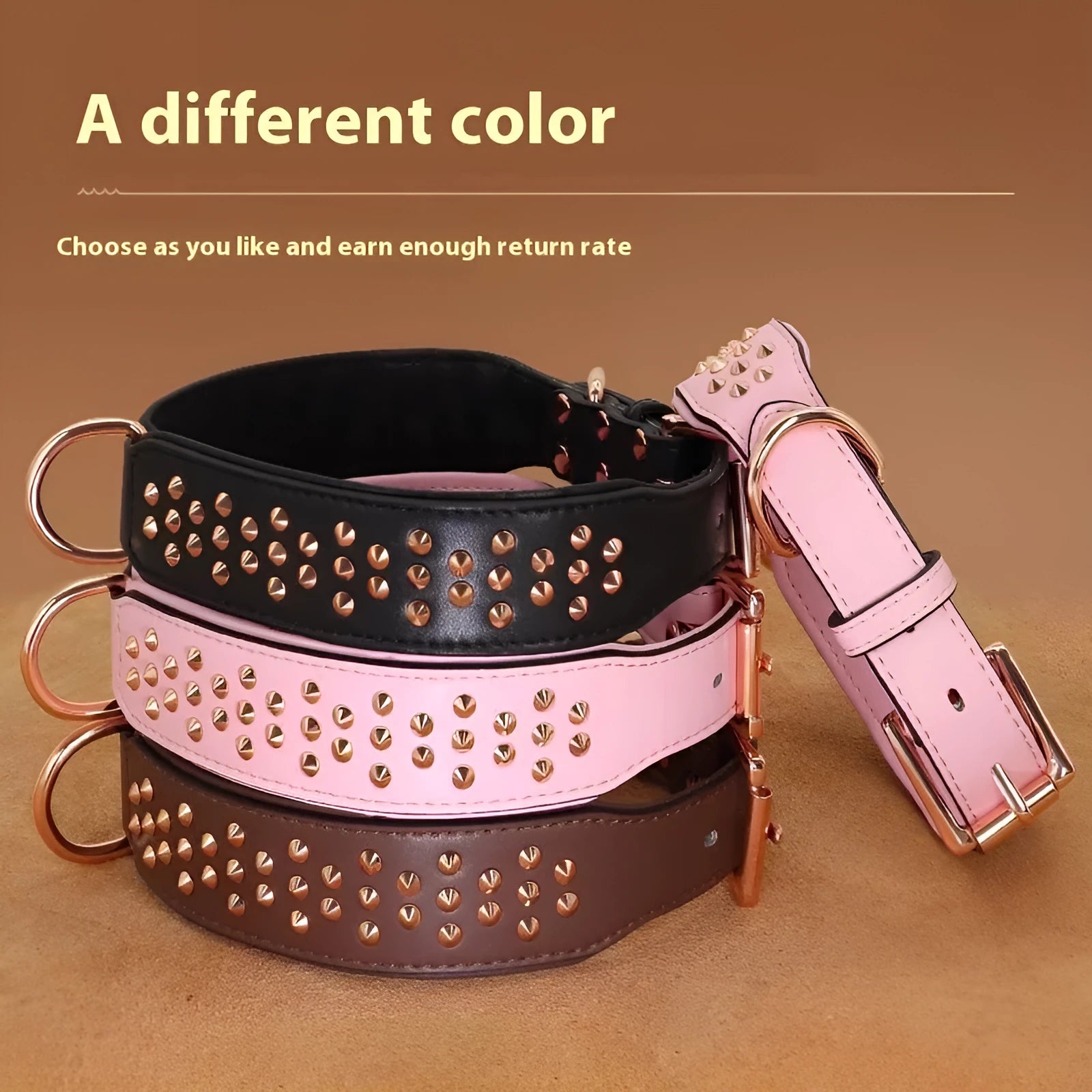 Leather dog collar with anti-bite rivets in chocolate colour showing adjustable buckle and rivet details