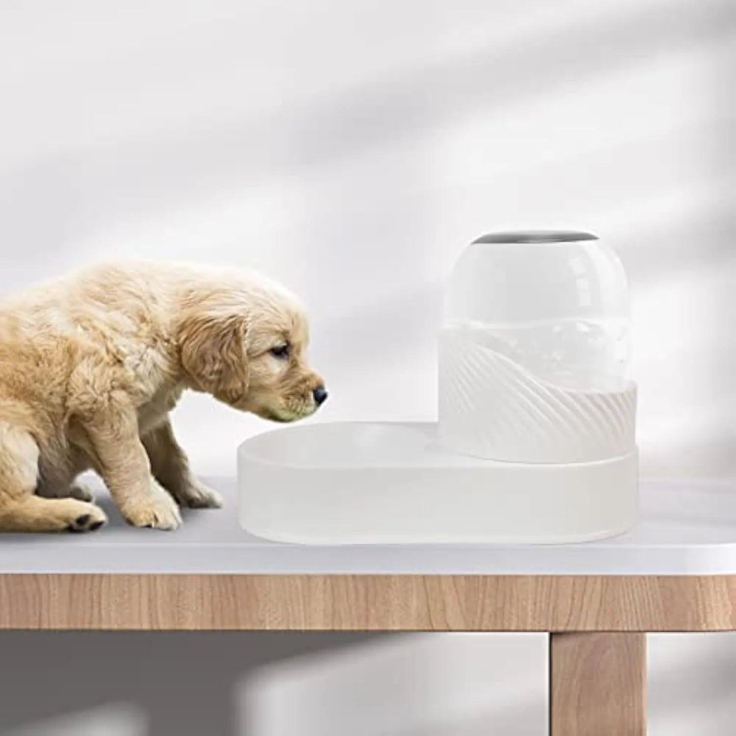 White automatic cat feeder and water dispenser set, each with 2L capacity and wave-shaped design.