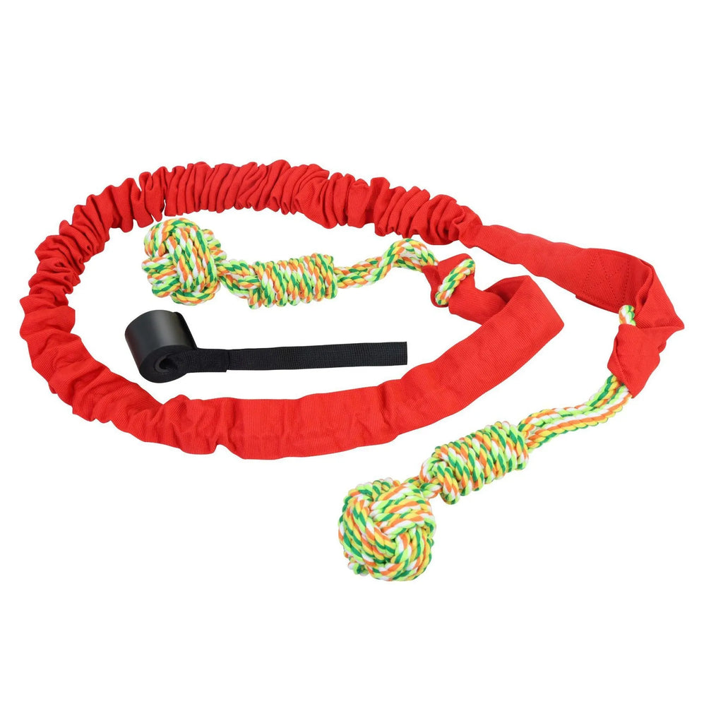 Cotton rope dog tug toy in twisted construction for chewing and interactive play