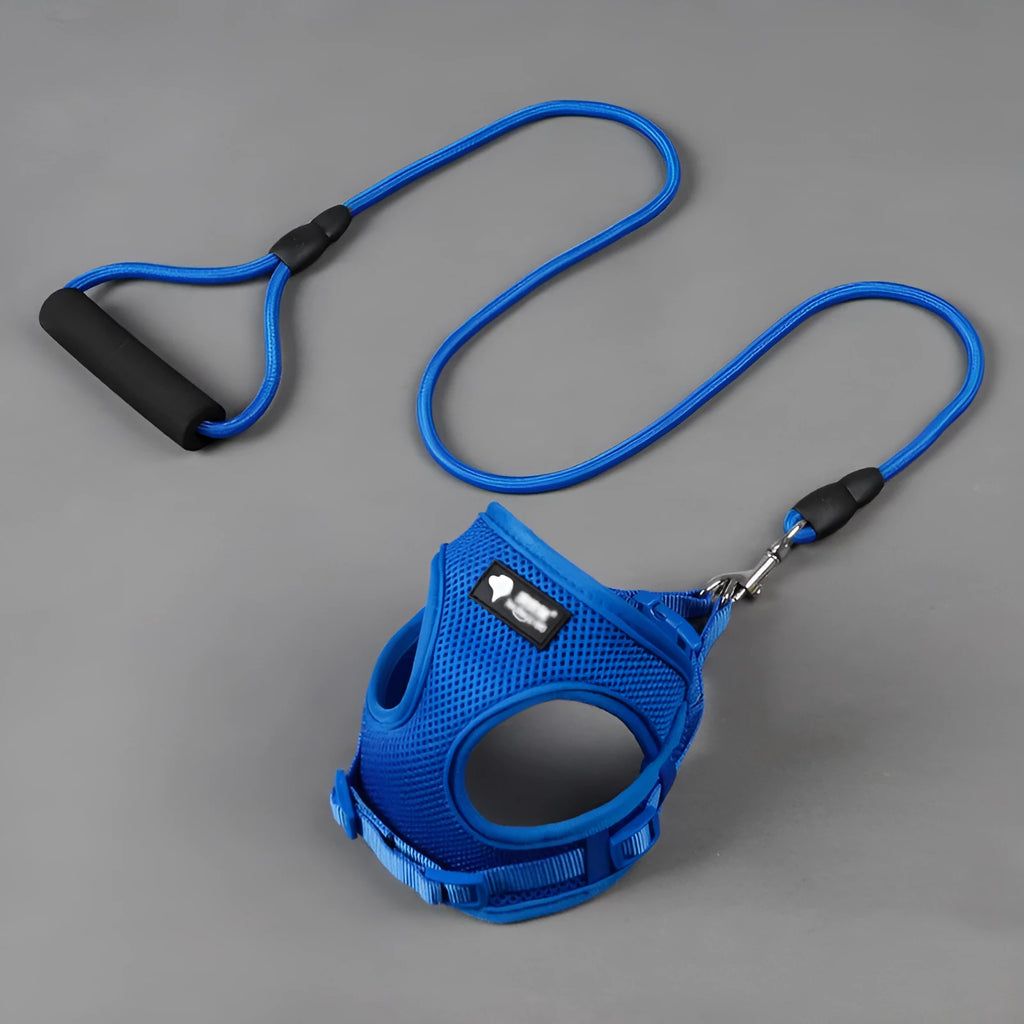 Blue dog leash with foam handle and matching collar for small to medium sized dogs