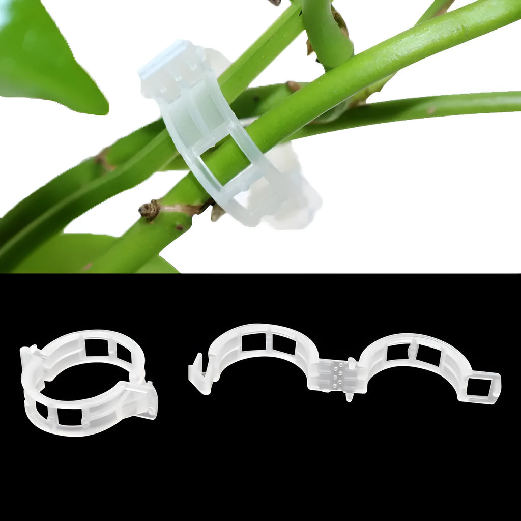 50 plastic plant clips for gardening, used to support tomato plants and climbing flowers