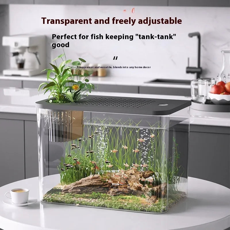Medium plastic betta fish tank with cover in black or white colour options