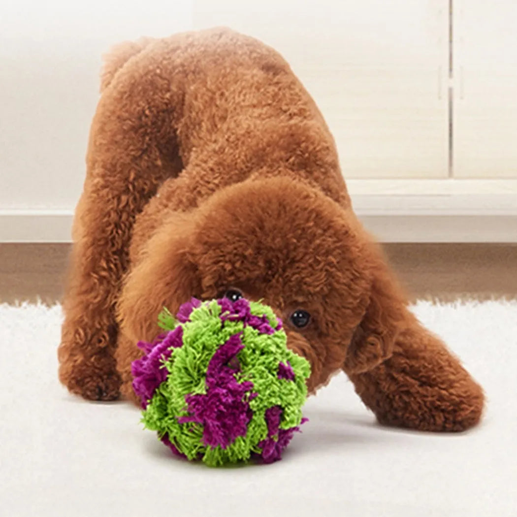 Purple plush sea urchin dog chew ball toy for interactive play and dental cleaning