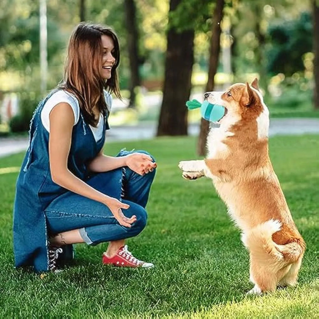 Blue durable rubber treat dispensing dog toy with tumble ball design for medium and large dogs