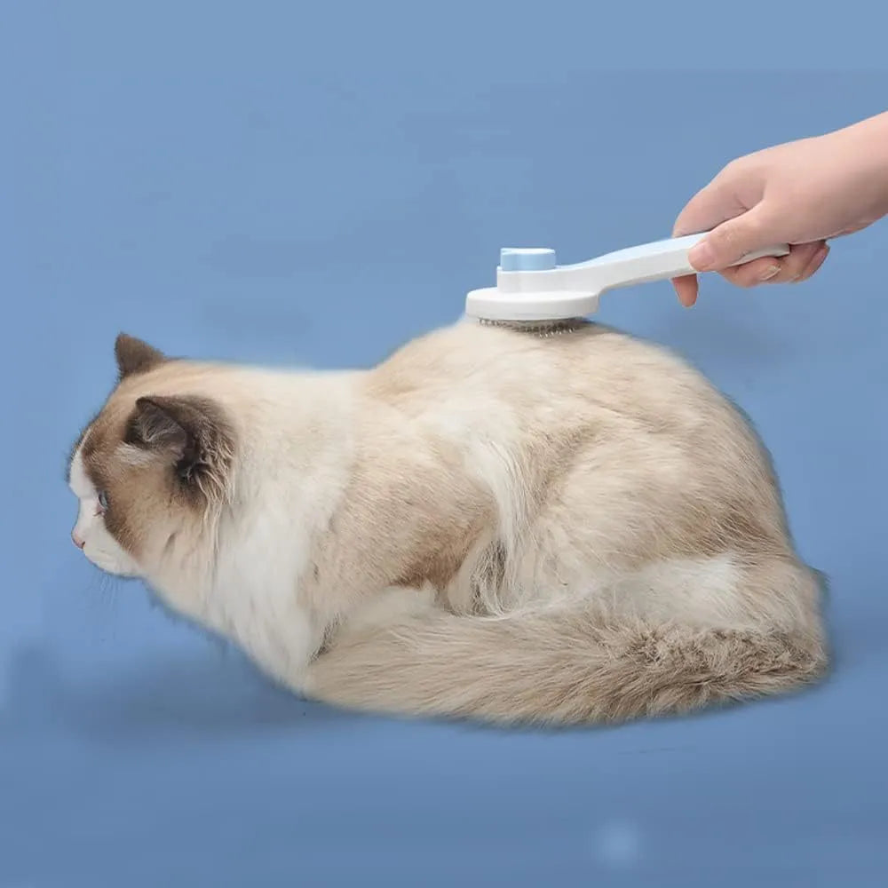 Blue self-cleaning cat and dog grooming brush with rubber handle on a white background.