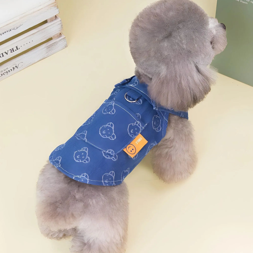 Small dog wearing a denim Princess dress in a bracket-skirt style.