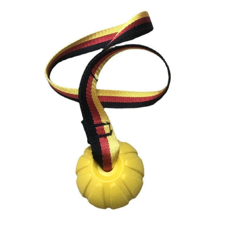Floating EVA tetherball dog toy in yellow with attached retrieval string on water surface