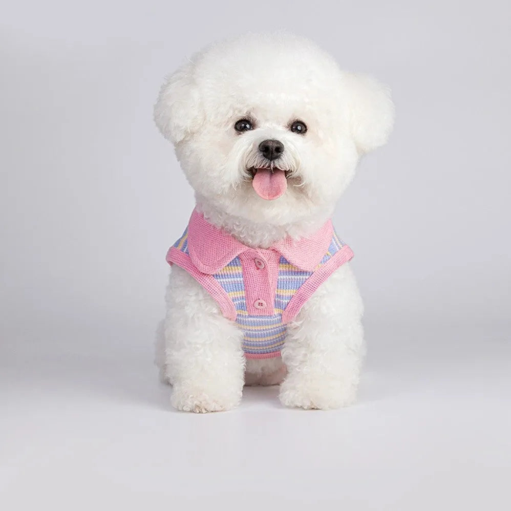 Pink purple vest for a small dog or cat on a mannequin, showing autumn pet clothing.