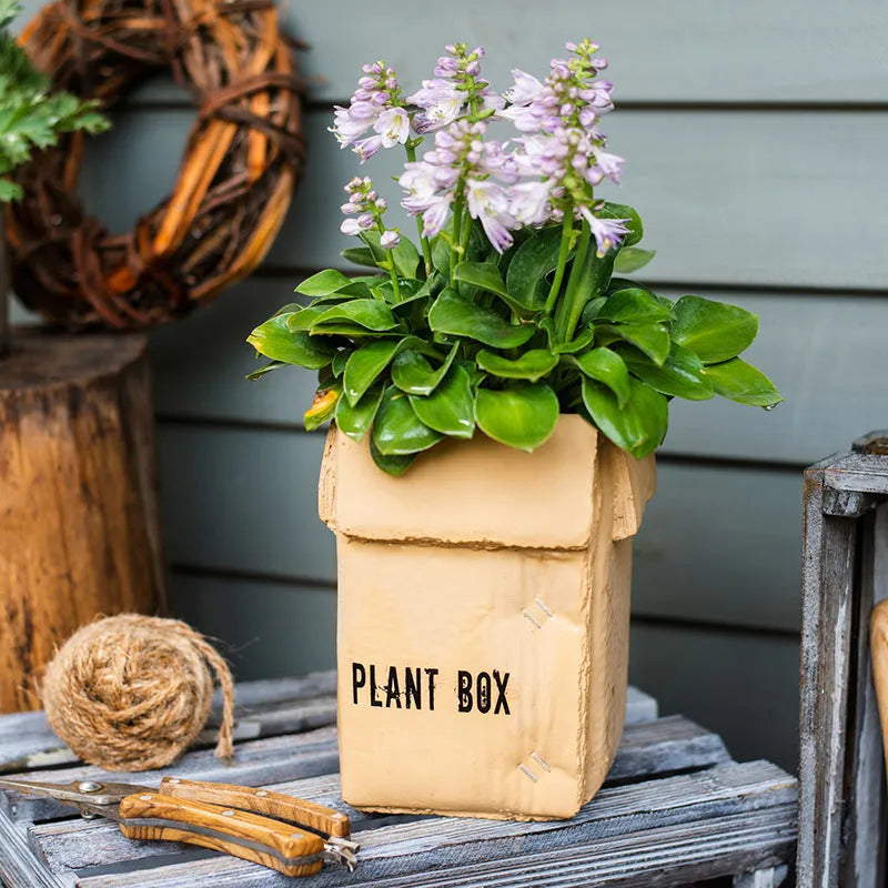 Cement flower pot with brown paper box texture and drainage holes, shown in a neutral home setting.