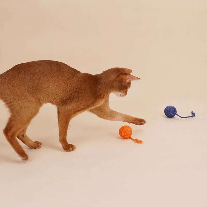 Four-piece cat toy set with teaser stick, catnip ball, and self-play toys on blue background