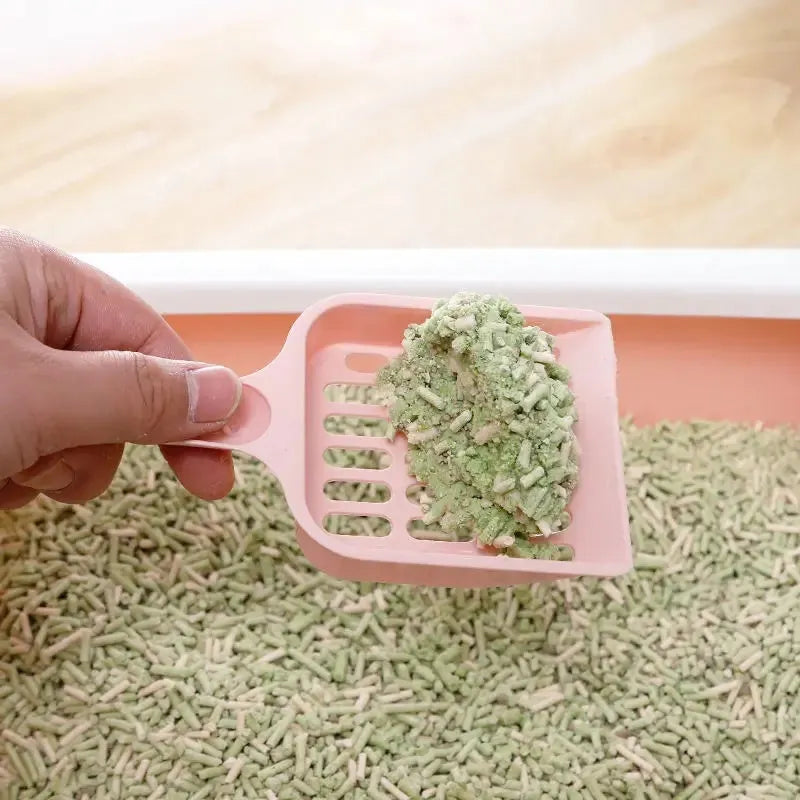 Plastic cat litter scoop 20cm long with fine mesh in blue green or pink for cleaning cat toilet sand