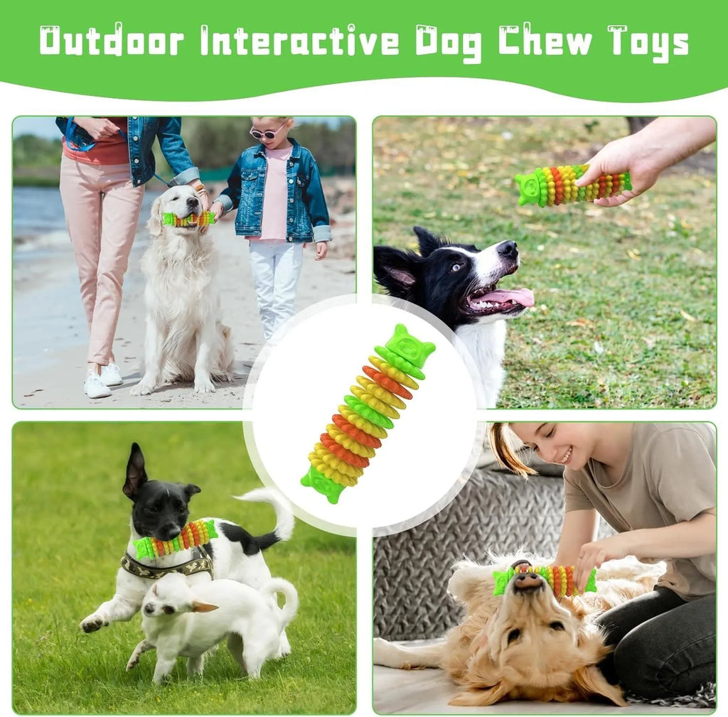 Blue caterpillar-shaped rubber dog chew toy for aggressive chewers on wooden floor
