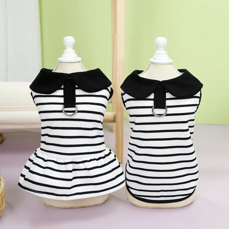 Small dog wearing striped cotton T-shirt and matching skirt summer pet outfit