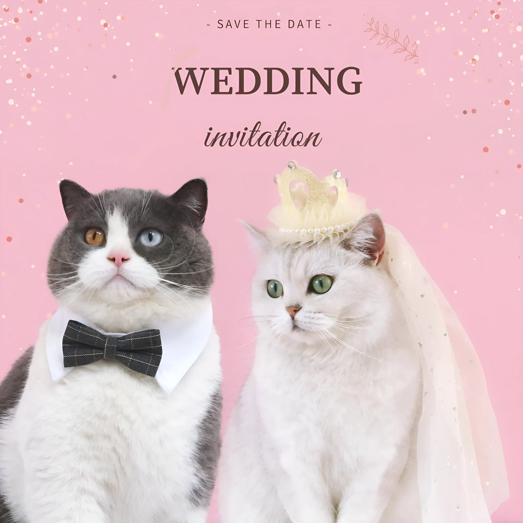 Princess-style cat wedding crown headdress with veil in beige and pink colour options