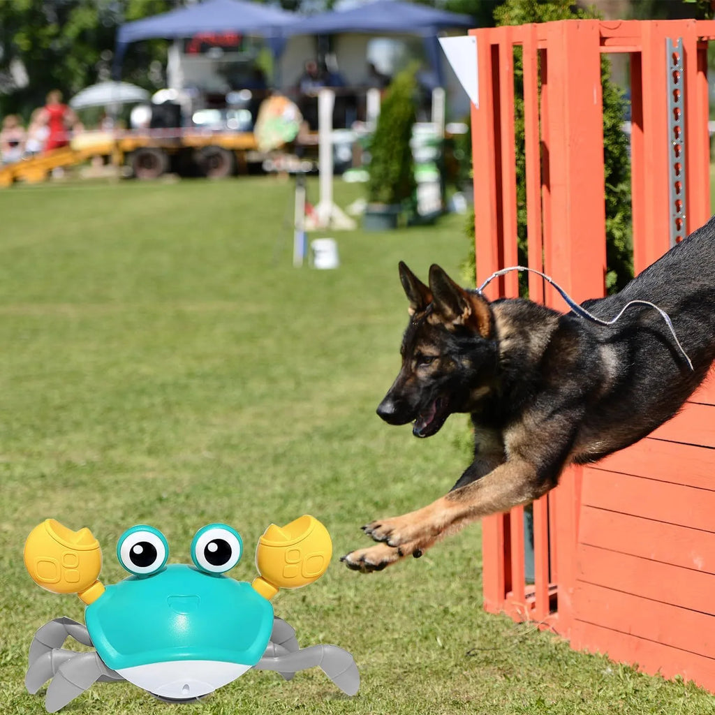 Blue or red crawling crab dog toy with obstacle avoidance sensor and colourful lights
