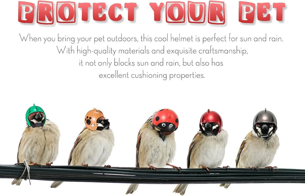 Small pet safety helmet on chicken with adjustable elastic bands and sponge lining