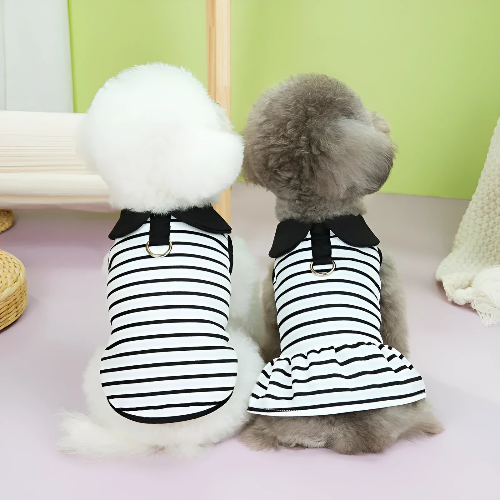 Small dog wearing striped cotton T-shirt and matching skirt summer pet outfit