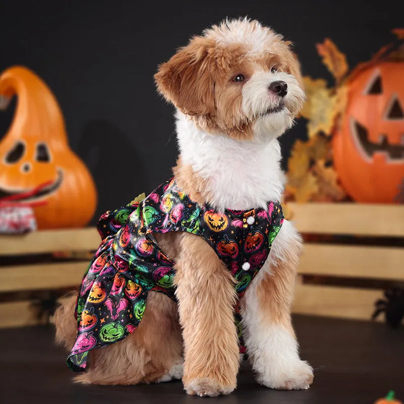 Angel wings Halloween dog costume in bright pumpkin colour on small dog