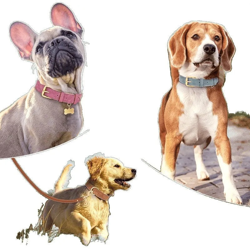 Double-layer leather dog collar and matching lead in rose red, brown, or blue colours