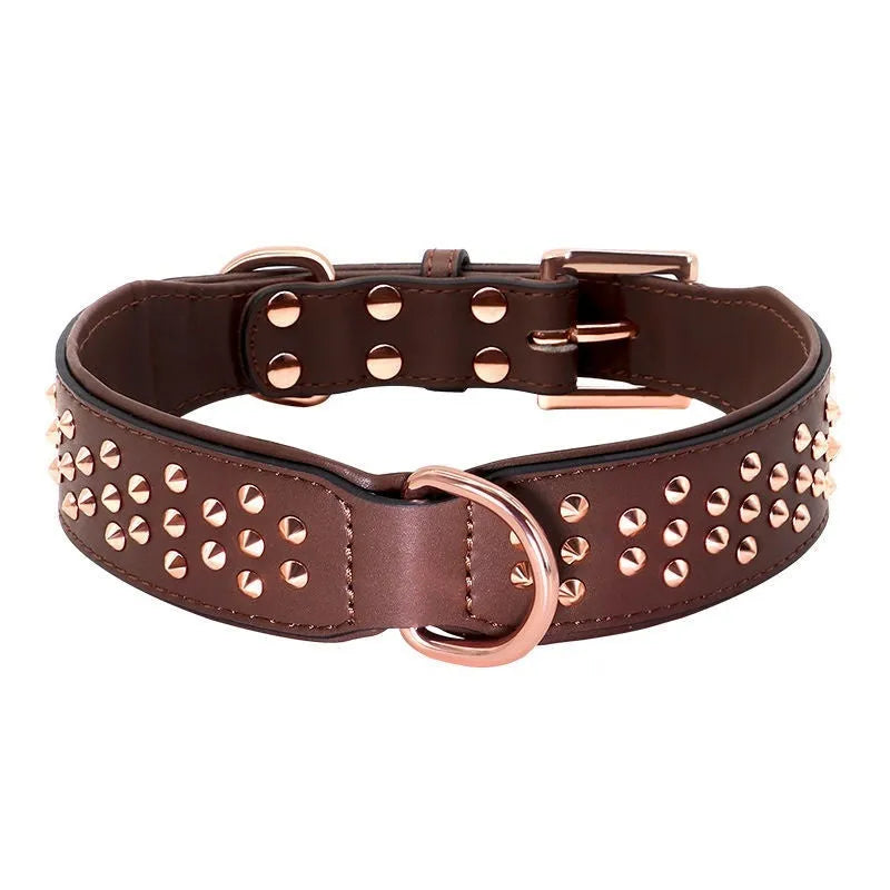 Leather dog collar with anti-bite rivets in chocolate colour showing adjustable buckle and rivet details