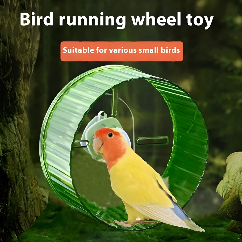 Plastic bird running wheel toy in green, orange, grey, purple or transparent colour, showing 21cm and 17cm diameter options