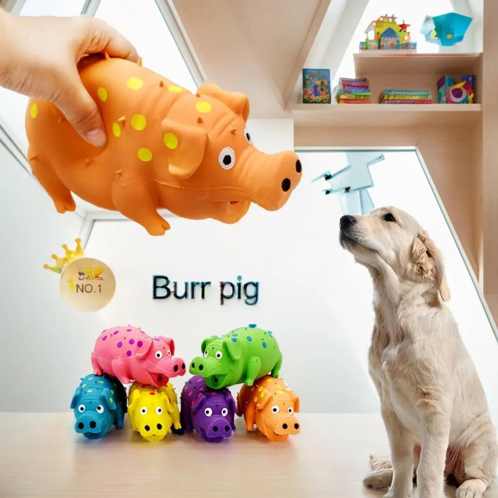 Blue latex pig-shaped dog chew toy with textured surface and squeaky function