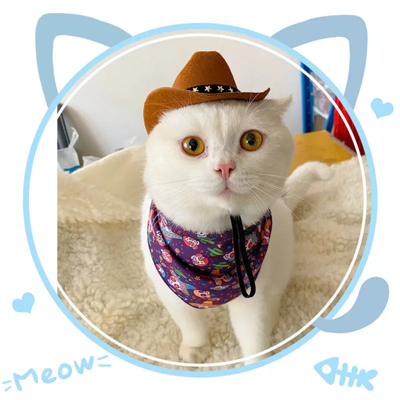 British-style cowboy hat for cats in non woven fabric with decorative band options