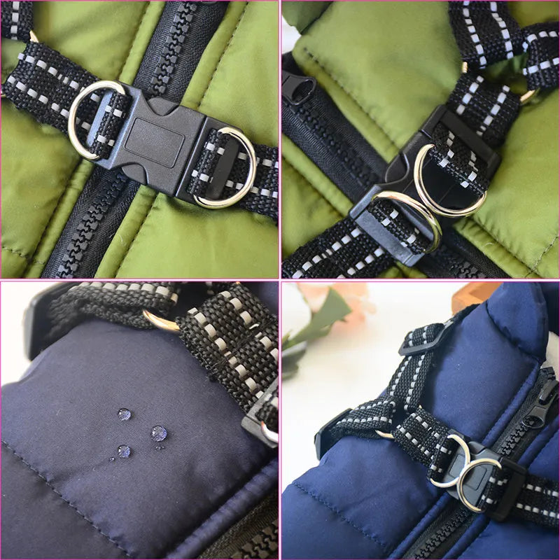 Red waterproof dog coat with built-in harness on a large breed dog.