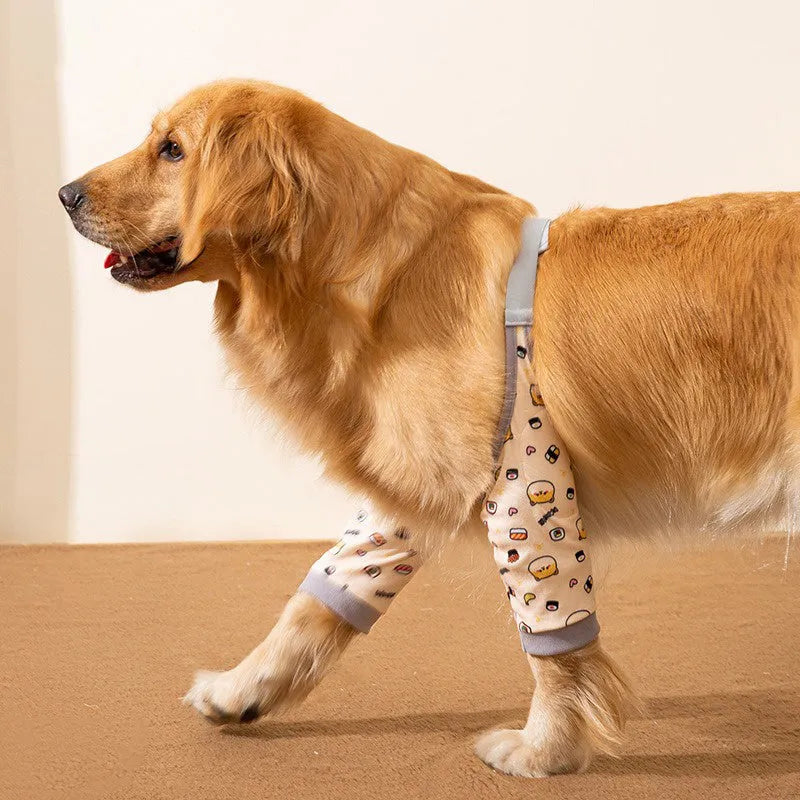 Dog wearing blue knee protector with padded elbow patch and matching scarf