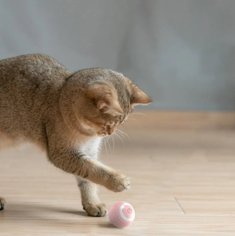 Blue automatic moving cat toy ball with silicone texture on floor